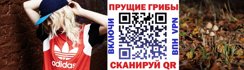 Псилоцибиновые грибы мухоморы магазин продажи наркотиков Кузнецк