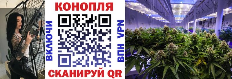 Шишки марихуана SATIVA & INDICA Кузнецк